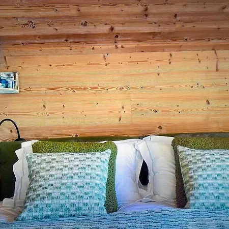 Appt Confort Exceptionnel Pistes Ski De Village